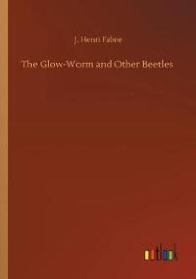 The Glow-Worm and Other Beetles