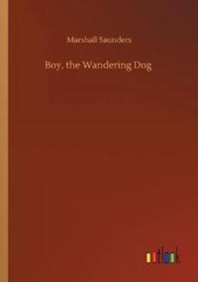 Boy, the Wandering Dog