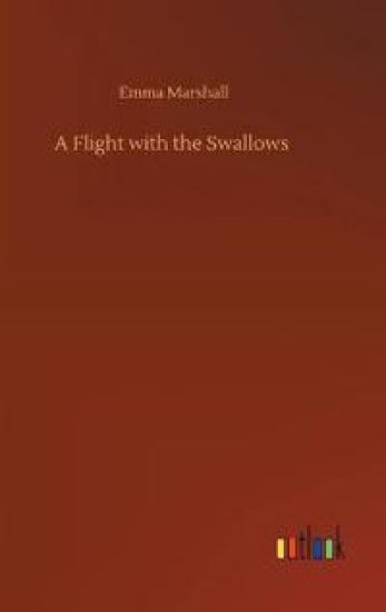 A Flight with the Swallows