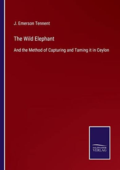 The Wild Elephant