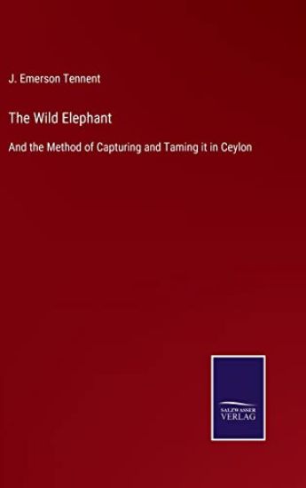 The Wild Elephant