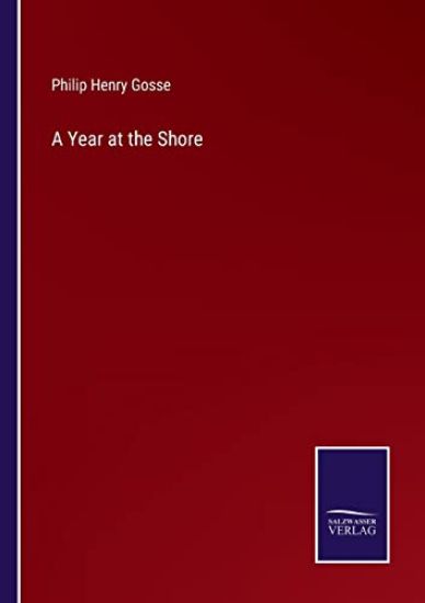A Year at the Shore