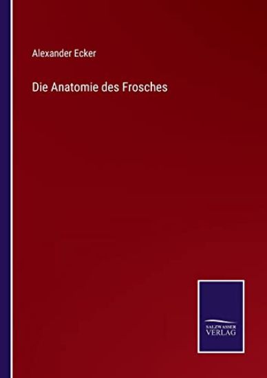 Die Anatomie des Frosches