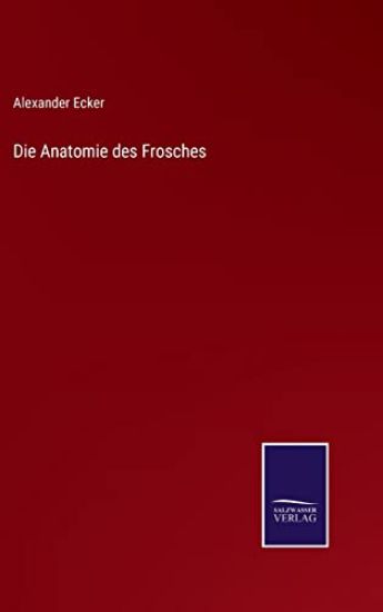 Die Anatomie des Frosches