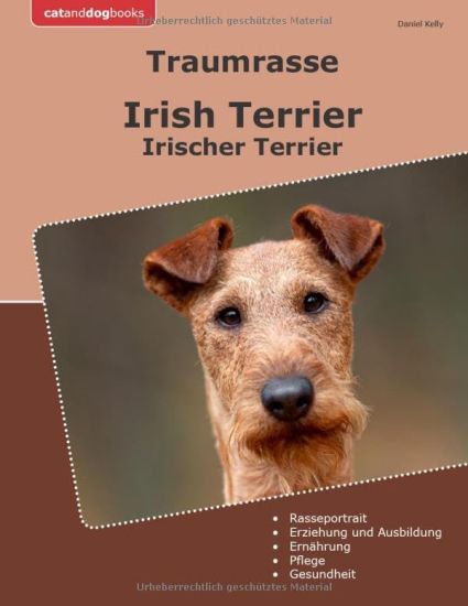 Traumrasse Irish Terrier