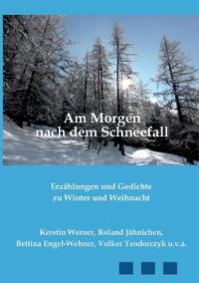 Am Morgen nach dem Schneefall