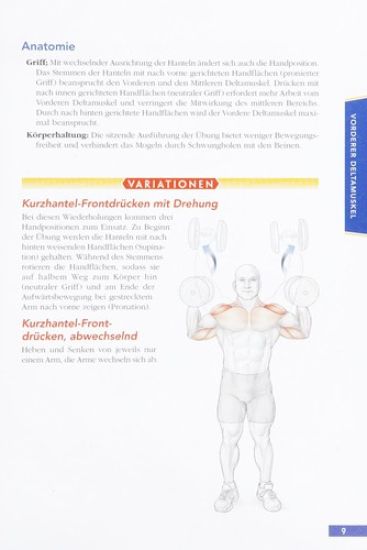 Bodybuilding Anatomie