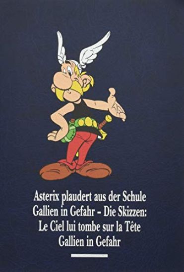 Asterix Gesamtausgabe 12