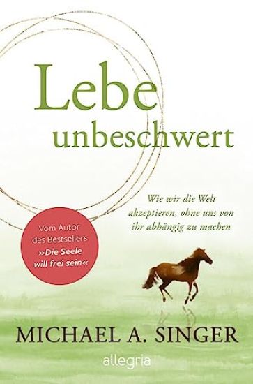 Lebe unbeschwert – Michael A. Singer, kirjan kansikuva
