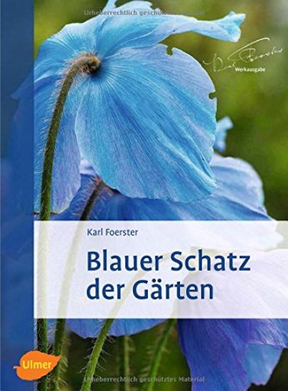 Blauer Schatz der Gärten