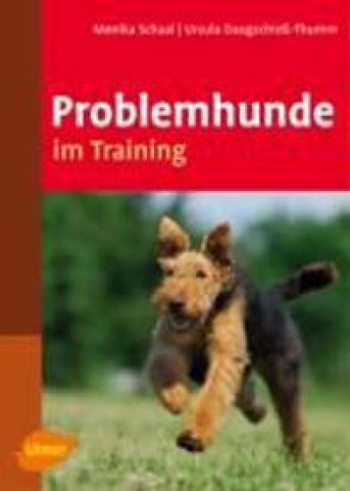 Problemhunde im Training