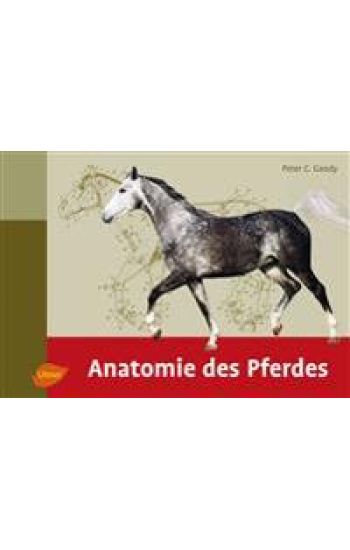 Anatomie des Pferdes