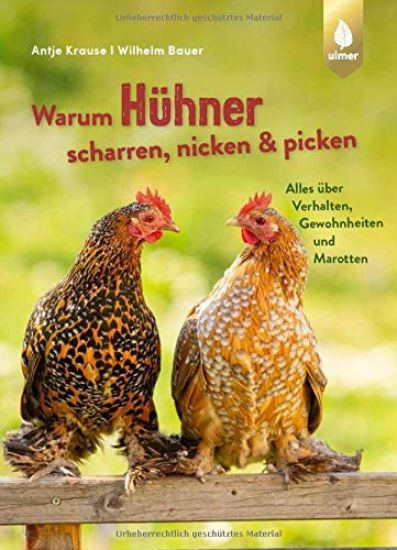 Warum Hühner scharren, nicken und picken