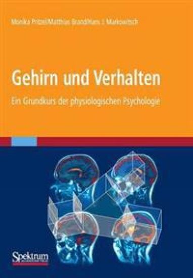 Gehirn und Verhalten