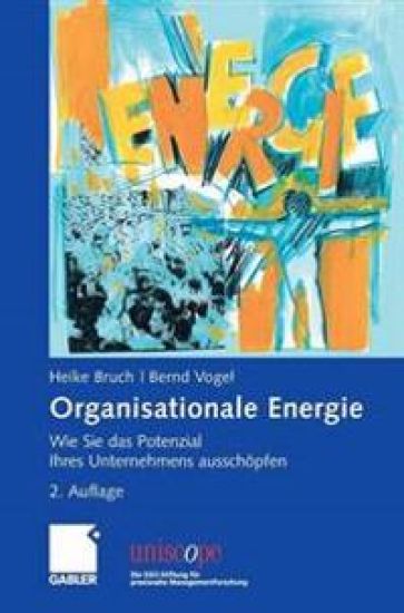 Organisationale Energie – Heike Bruch, kirjan kansikuva