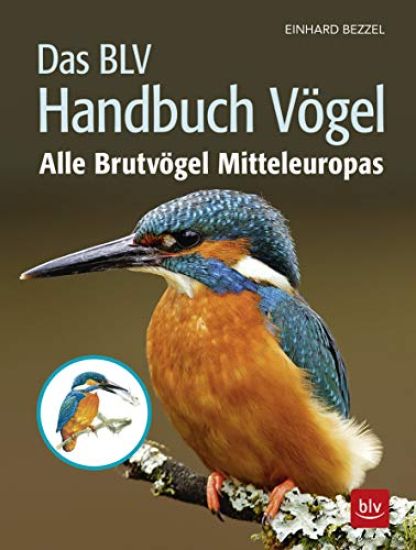Das BLV Handbuch Vögel