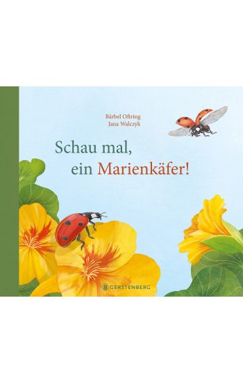 Schau mal, ein Marienkäfer!