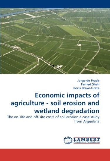 Economic impacts of agriculture - soil erosion and wetland degradation