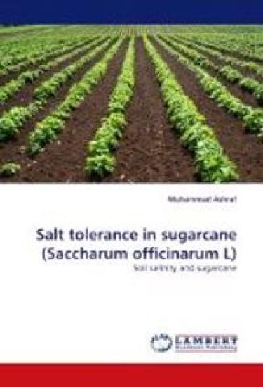 Salt Tolerance in Sugarcane (Saccharum Officinarum L)