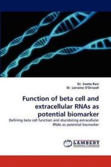 Function of Beta Cell and Extracellular Rnas as Potential Biomarker