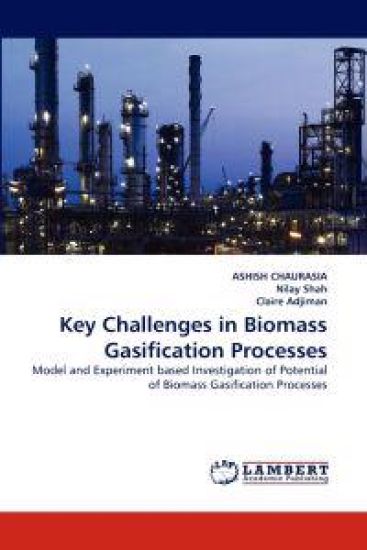 Key Challenges in Biomass Gasification Processes