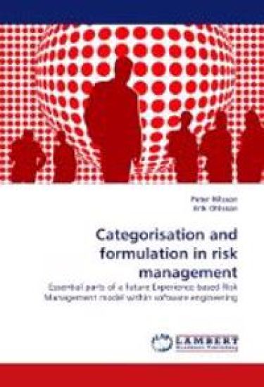 Categorisation and formulation in risk management