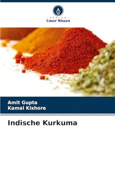 Indische Kurkuma – Amit Gupta, kirjan kansikuva