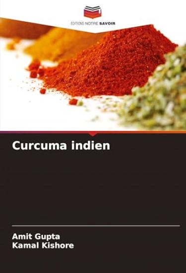 Curcuma indien – Amit Gupta, kirjan kansikuva
