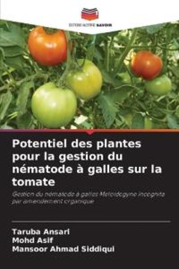 Potentiel des plantes pour la gestion du nématode à galles sur la tomate