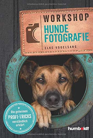 Workshop Hundefotografie