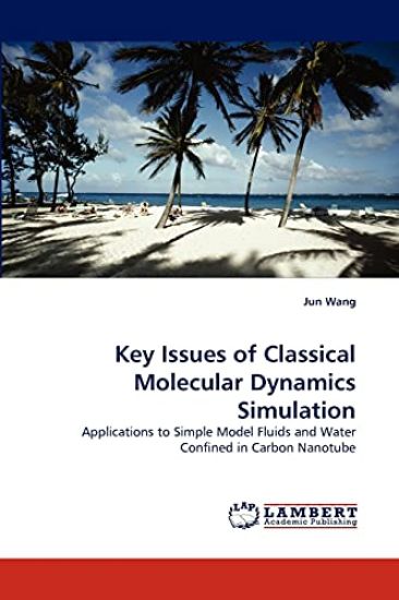 Key Issues of Classical Molecular Dynamics Simulation