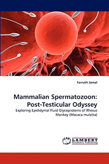 Mammalian Spermatozoon