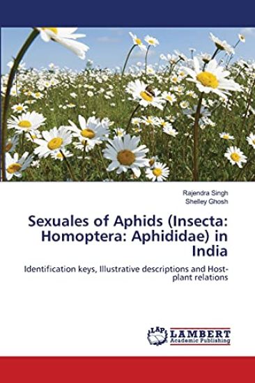 Sexuales of Aphids (Insecta
