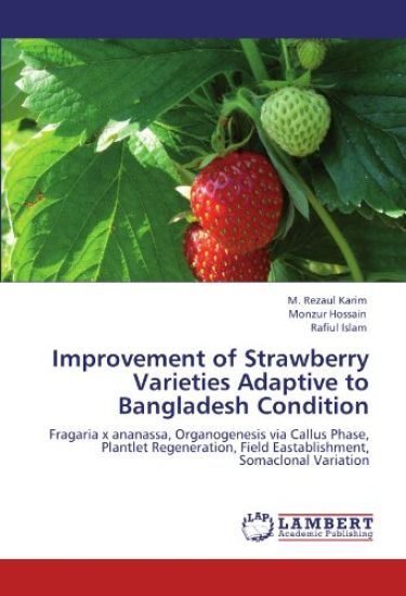 Improvement of Strawberry Varieties Adaptive to Bangladesh Condition