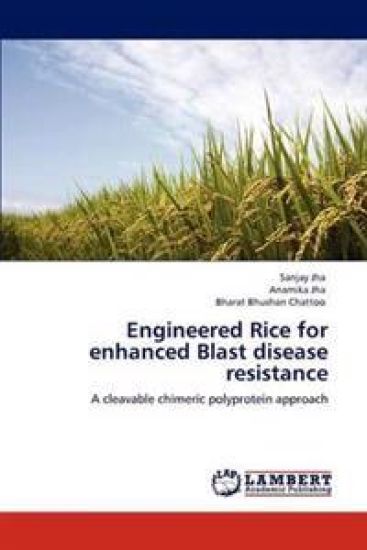 Engineered Rice for Enhanced Blast Disease Resistance