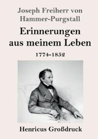 Erinnerungen aus meinem Leben (Großdruck)