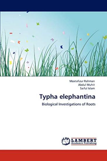 Typha elephantina