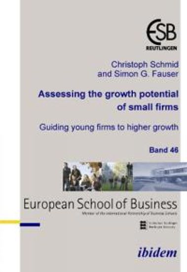 Assessing the growth potential of small firms