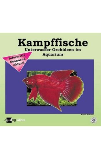 Kampffische