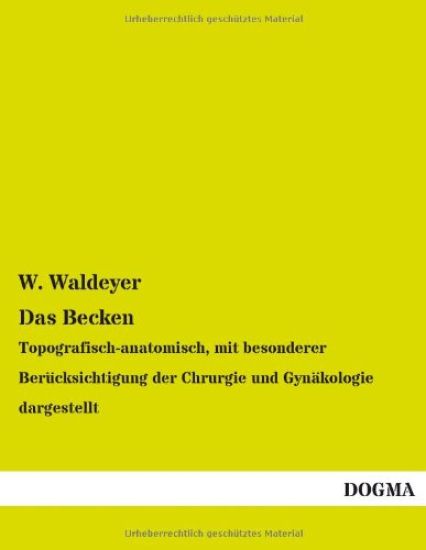 Das Becken