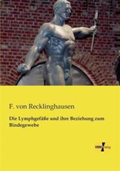 Die Lymphgefäße und ihre Beziehung zum Bindegewebe