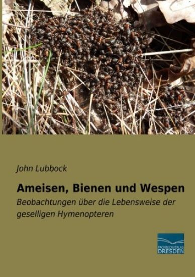Ameisen, Bienen und Wespen