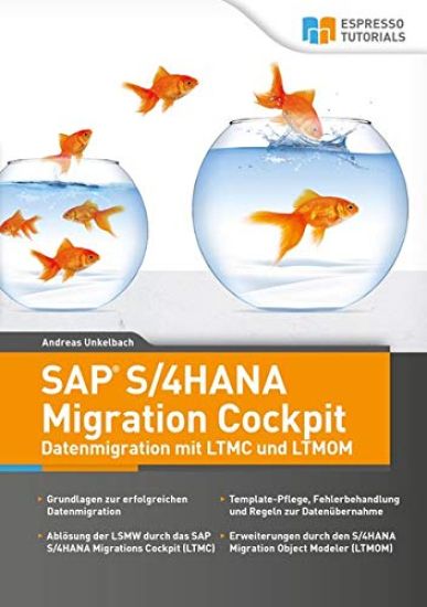SAP S/4HANA Migration Cockpit - Datenmigration mit LTMC und LTMOM