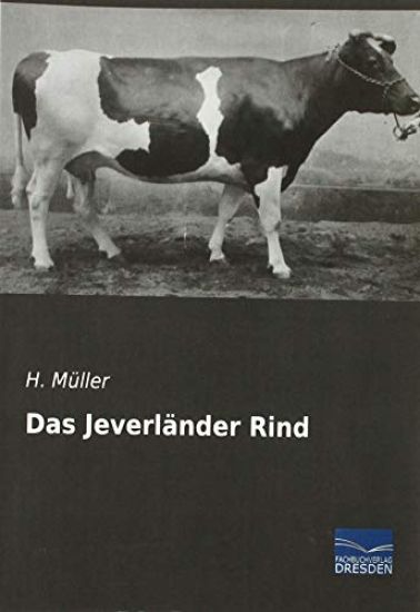 Das Jeverländer Rind – H. Müller, kirjan kansikuva