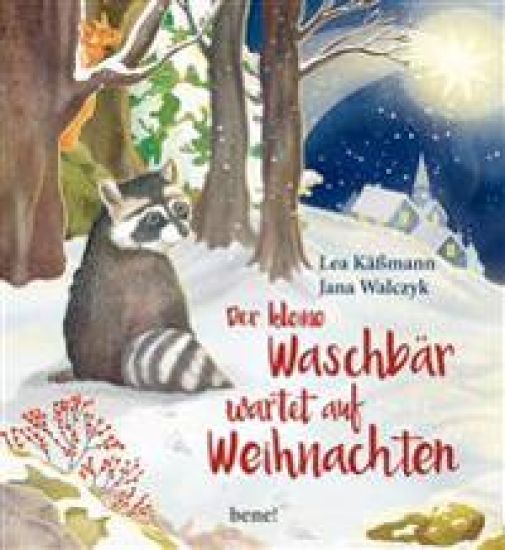 Der kleine Waschbär wartet auf Weihnachten - ein Bilderbuch für Kinder ab 2 Jahren