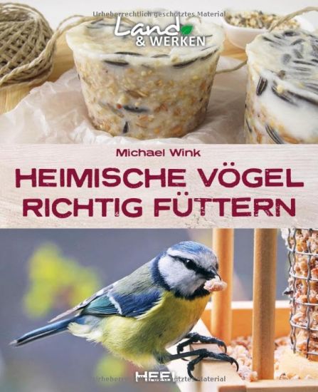 Heimische Vögel richtig füttern