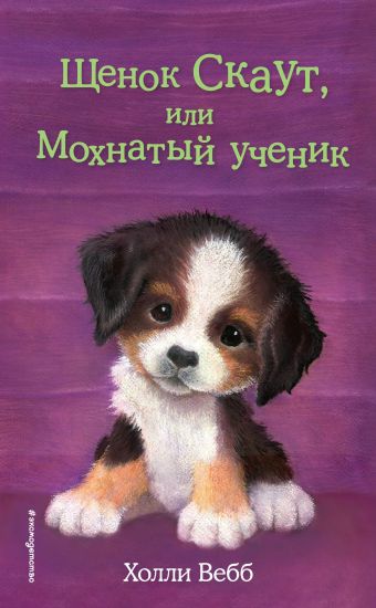 Schenok Skaut, ili Mokhnatyj uchenik