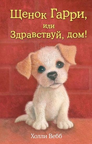 Schenok Garri, ili Zdravstvuj, dom!