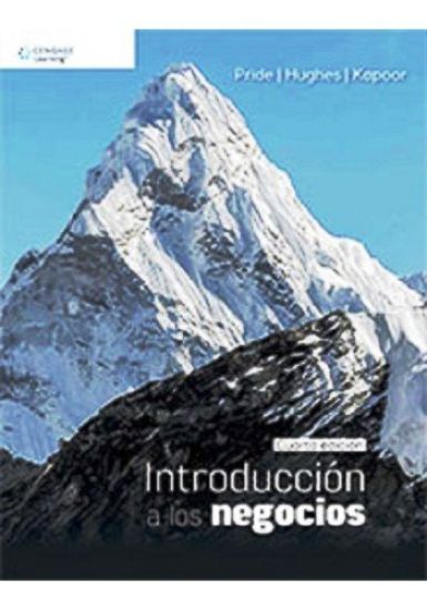IntroducciÃ³n a los negocios