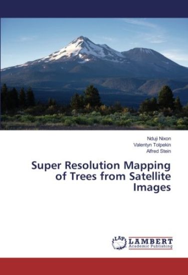 Super Resolution Mapping of Trees from Satellite Images